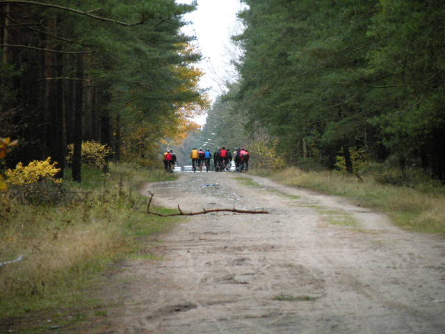 CTF-Permanente Neustaedter Holz 127